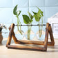 Glass and Wood Vase Planter Table Desktop - Hanna's Modern