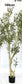 Artificial Olive Tree (Single Piece)