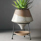 Creative Ceramic Flowerpot - Hanna's Modern