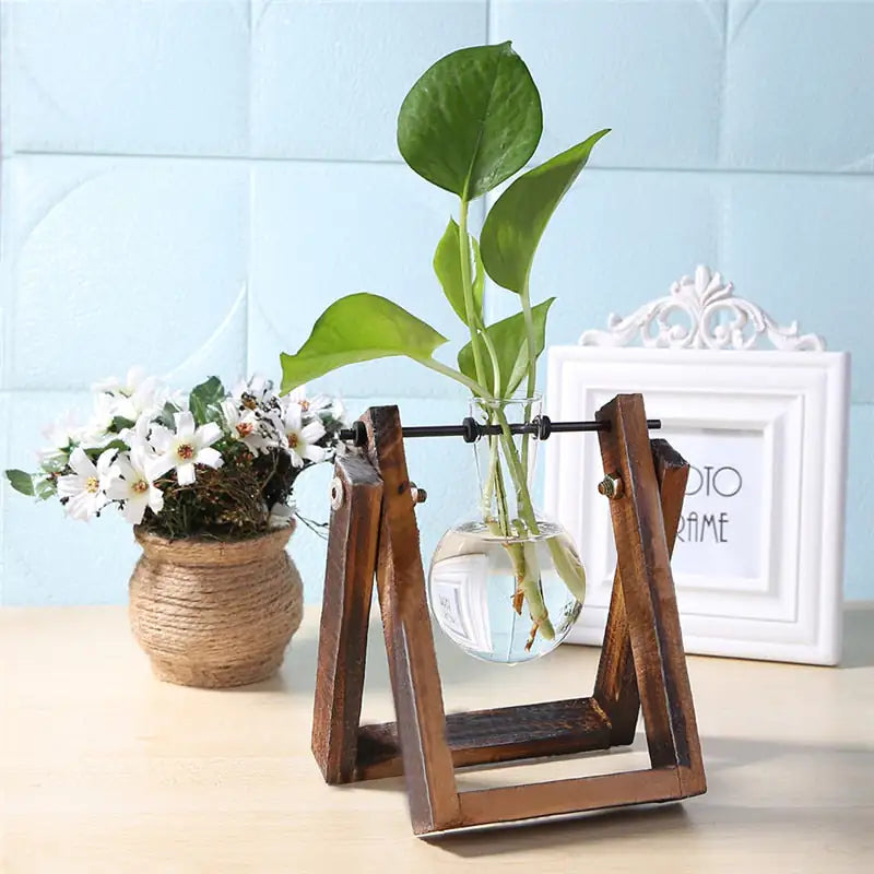 Glass and Wood Vase Planter Table Desktop - Hanna's Modern