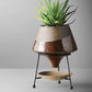 Creative Ceramic Flowerpot - Hanna's Modern