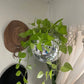 Disco Ball Flower Hanging Vase - Hanna's Modern