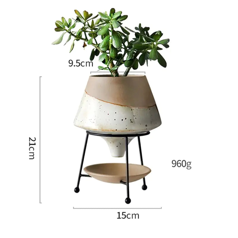 Creative Ceramic Flowerpot - Hanna's Modern