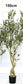 Artificial Olive Tree (Single Piece)