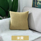 Nordic Office Sofa Square Velvet Cushion with Insert