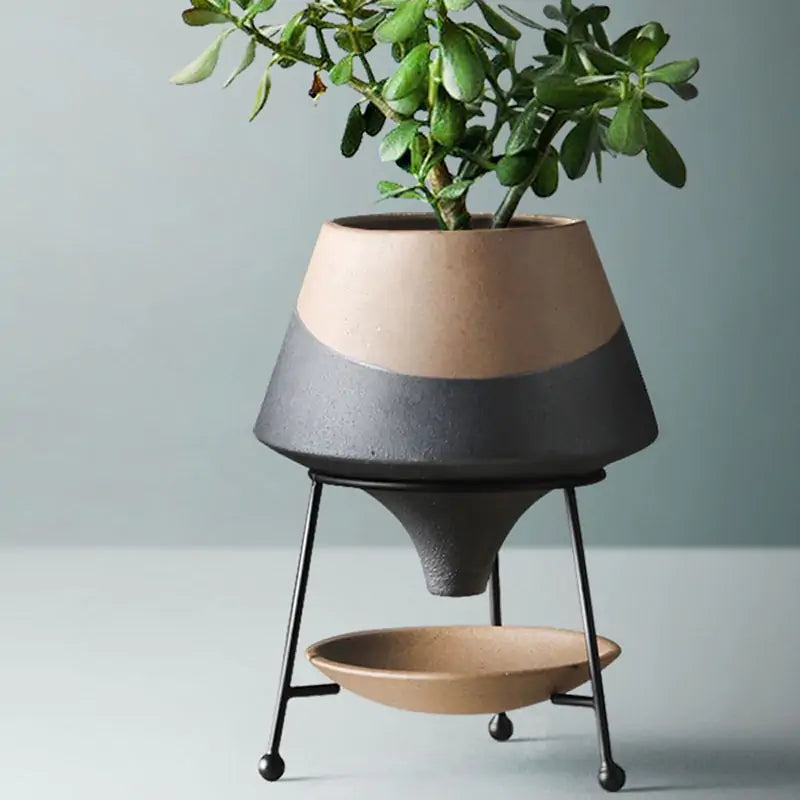 Creative Ceramic Flowerpot - Hanna's Modern