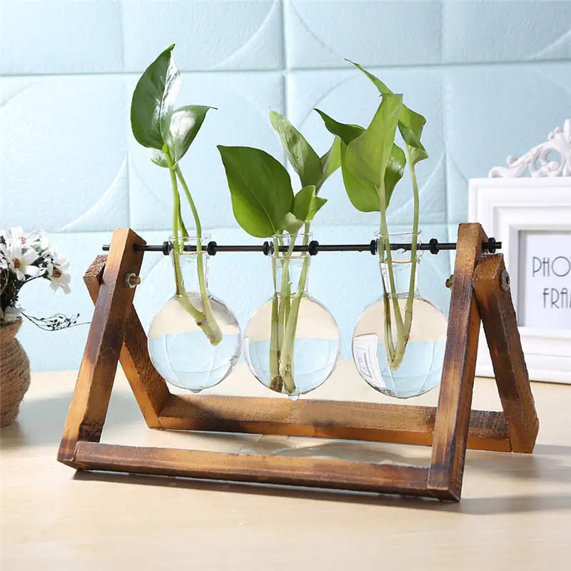 Glass and Wood Vase Planter Table Desktop - Hanna's Modern