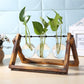 Glass and Wood Vase Planter Table Desktop - Hanna's Modern