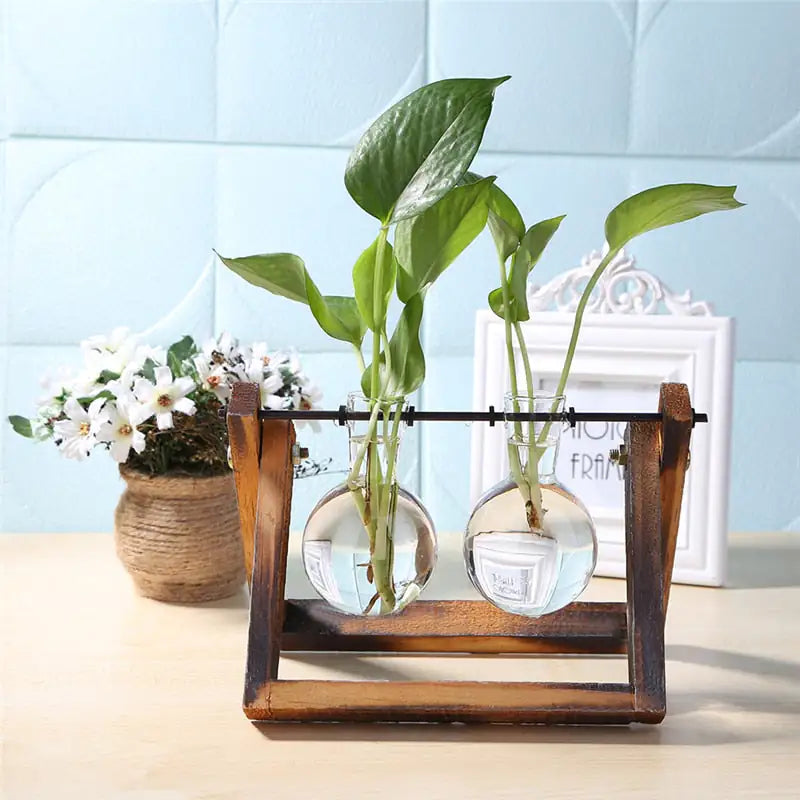 Glass and Wood Vase Planter Table Desktop - Hanna's Modern